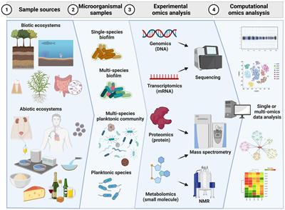 Advances in experimental and computational methodologies for the study of microbial-surface interactions at different omics levels